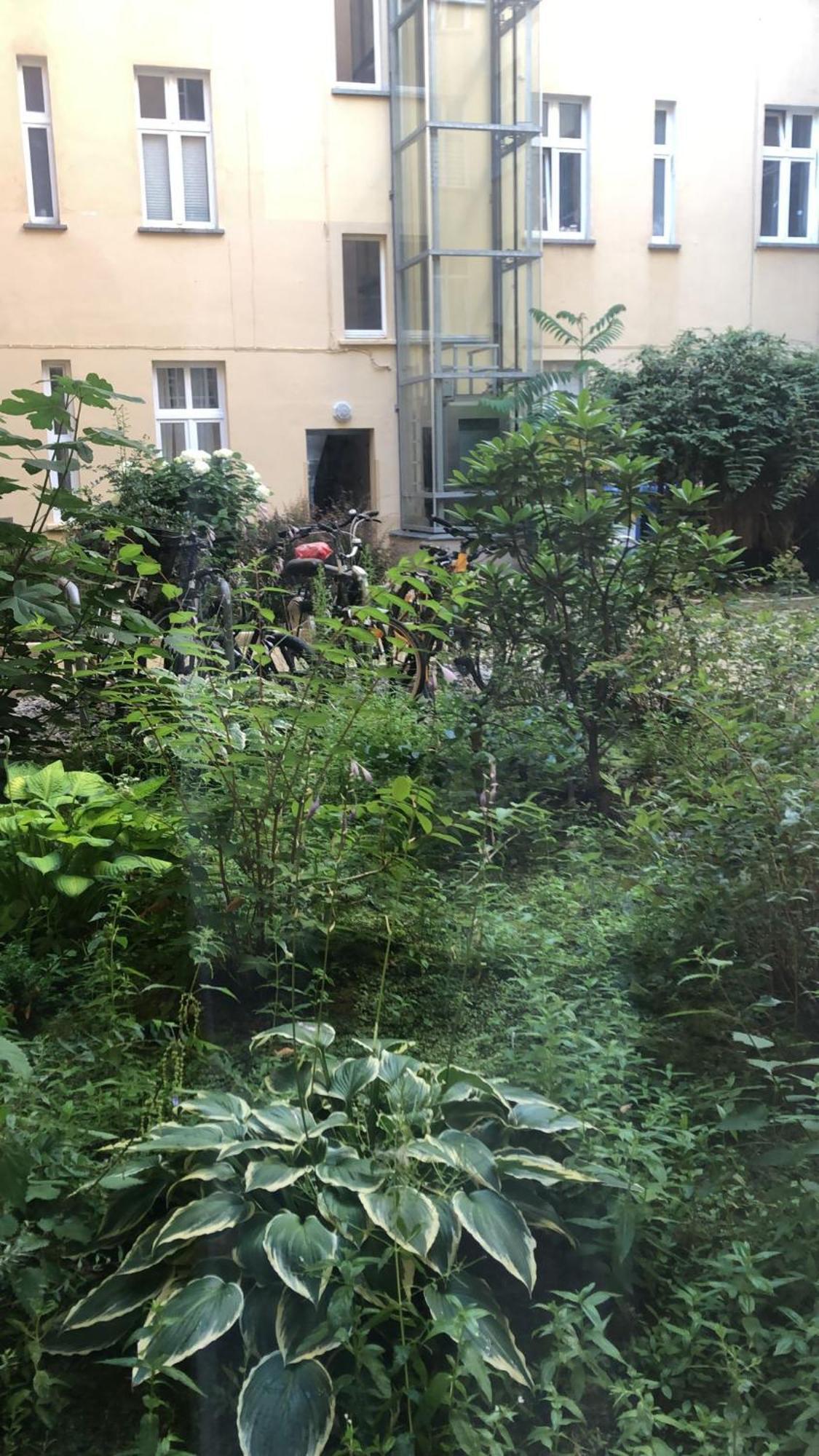 Apartment Friends Circle Berlin